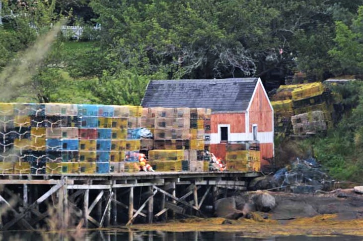 shack and traps